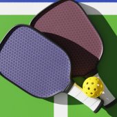 pickeball sticks