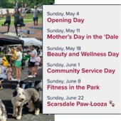 Destination Scarsdale