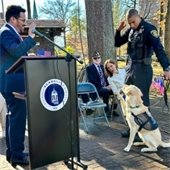 Destination Scarsdale