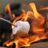 Marshmallows