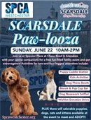 Scarsdale Pawlooza