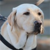 Destination Scarsdale