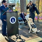 Sushi Sworn in as SPD’s Community Mental Health Support Dog