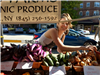 Scarsdale Farmers Market (3)