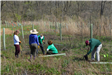 Community Planting Day 5 (jpg)