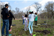 Community Planting Day 28 (jpg)