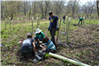Community Planting Day 21