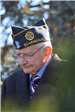 Veterans Day Image (jpg)