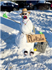 Snowman 87 (jpg)