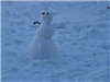 Snowman 55 (jpg)