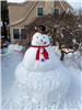 Snowman 44 (jpg)
