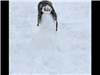 Snowman 31 (jpg)