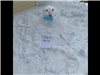 Snowman 12 (jpg)