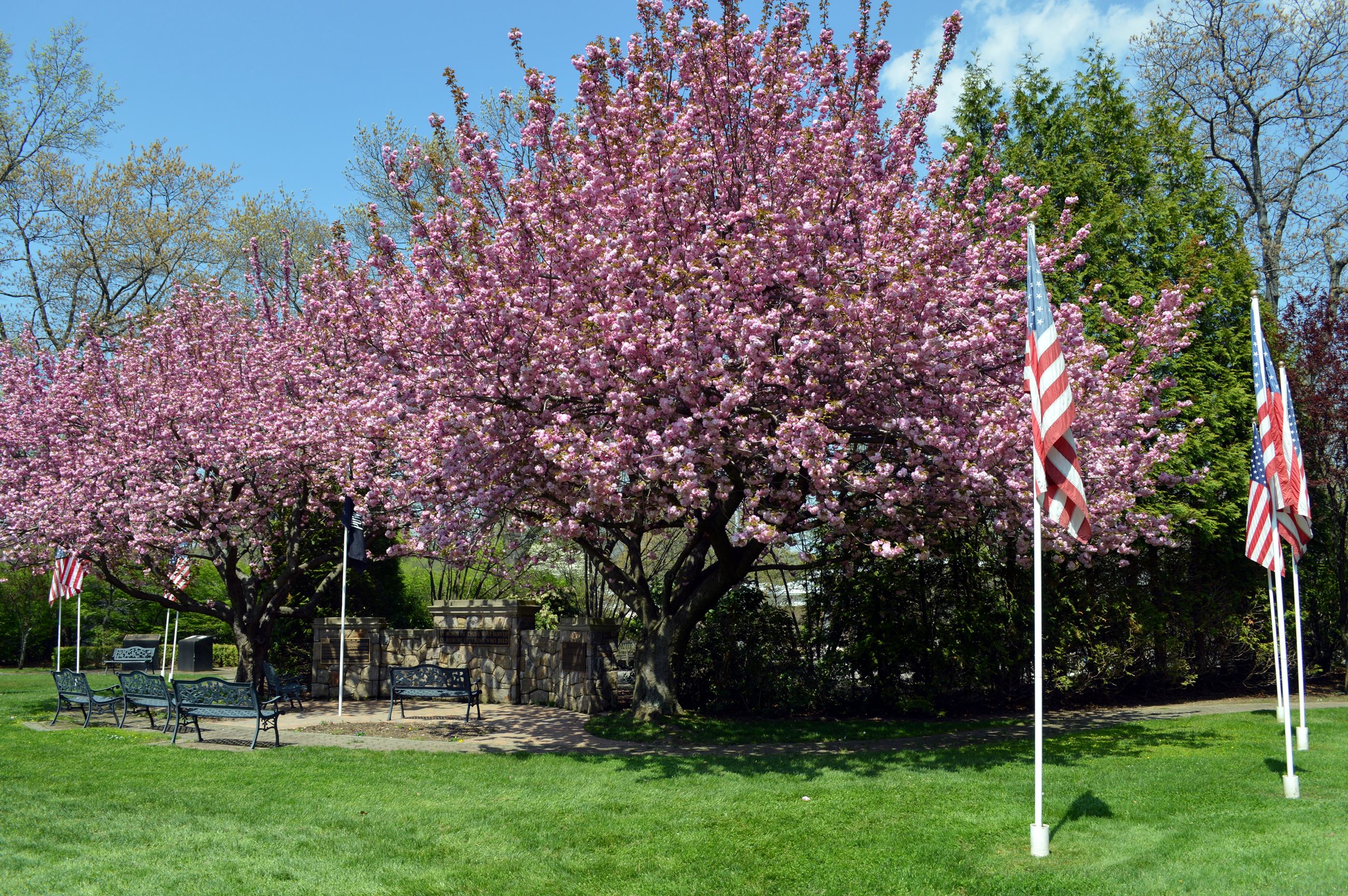 Veteran Memorial Garden 01 (jpg)