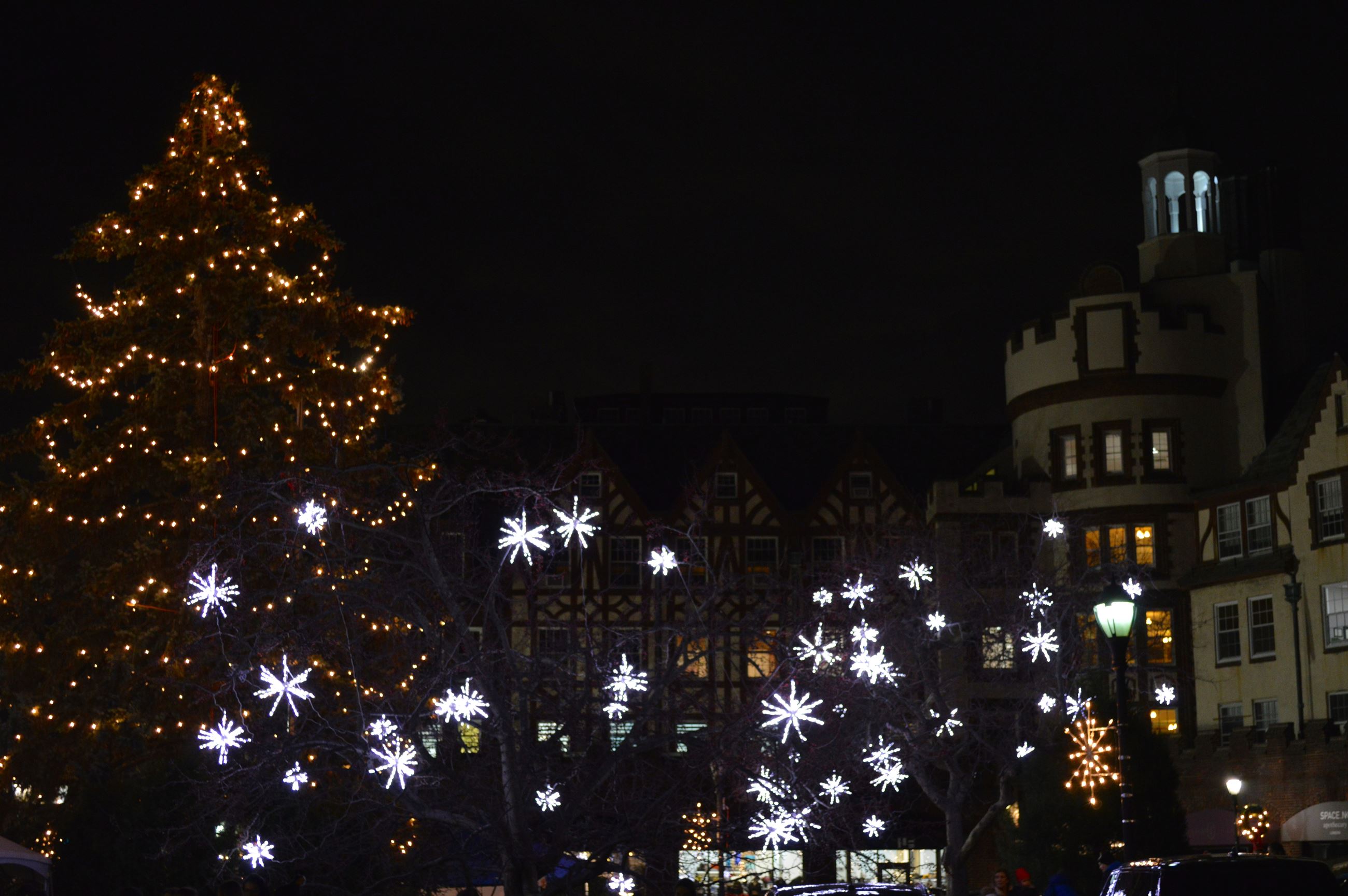 Boniface Circle Holiday Lights