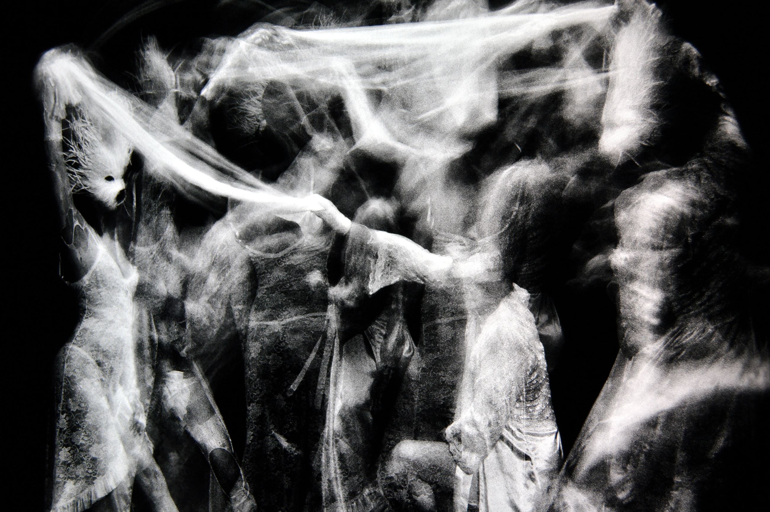 OLED Art Gallery Image