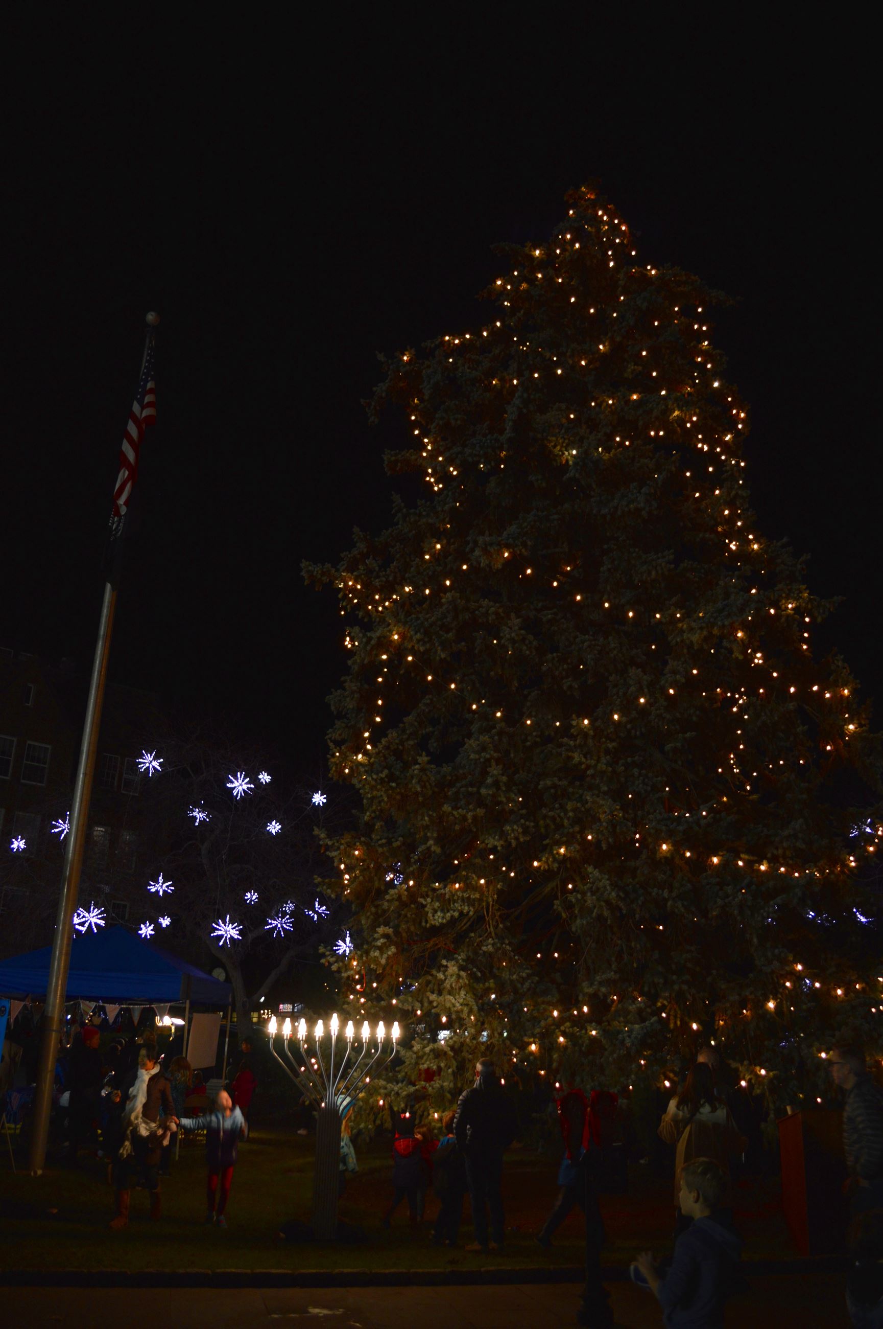 Holiday Tree and Menorah