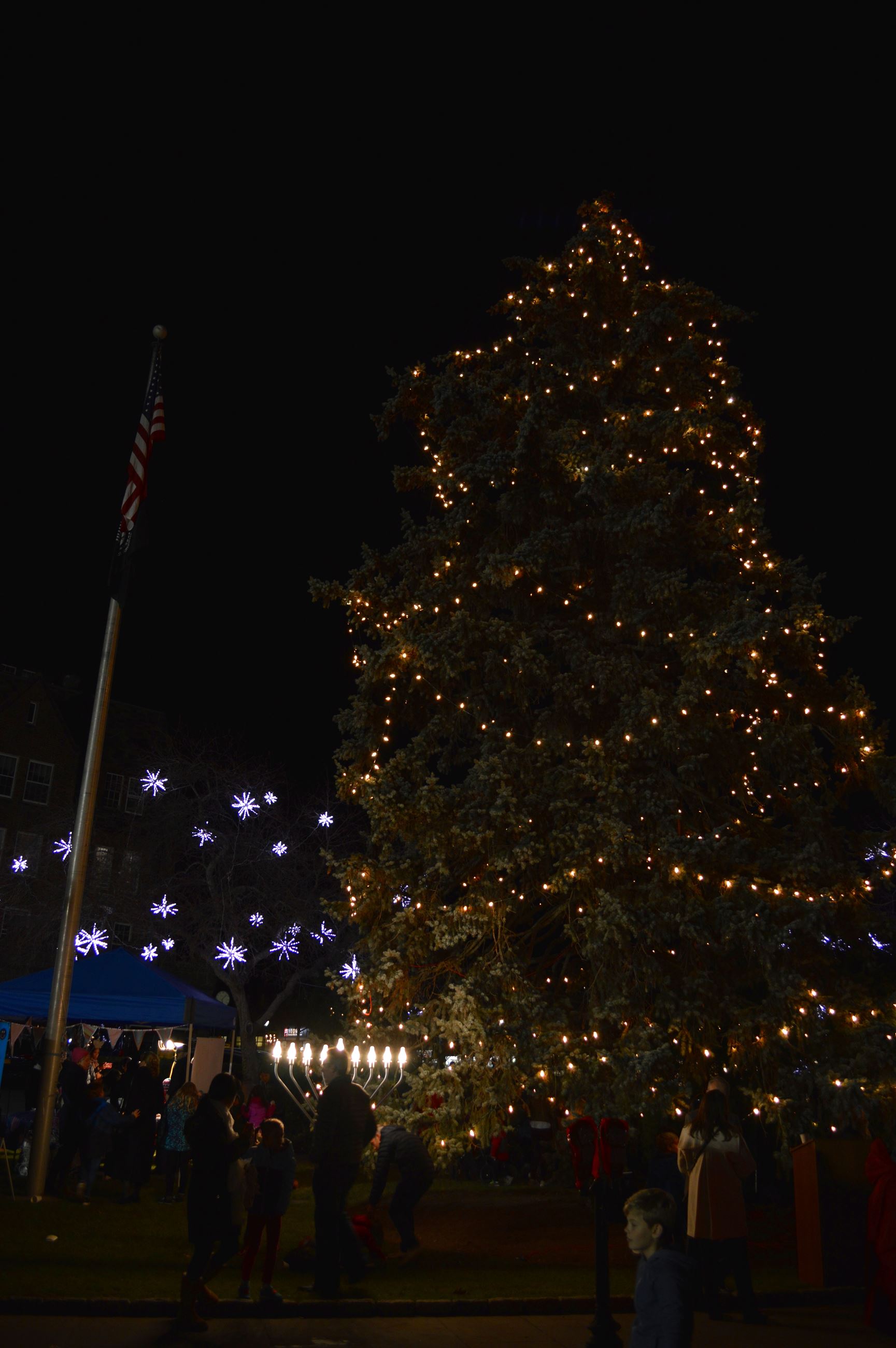 Holiday Tree and Menorah