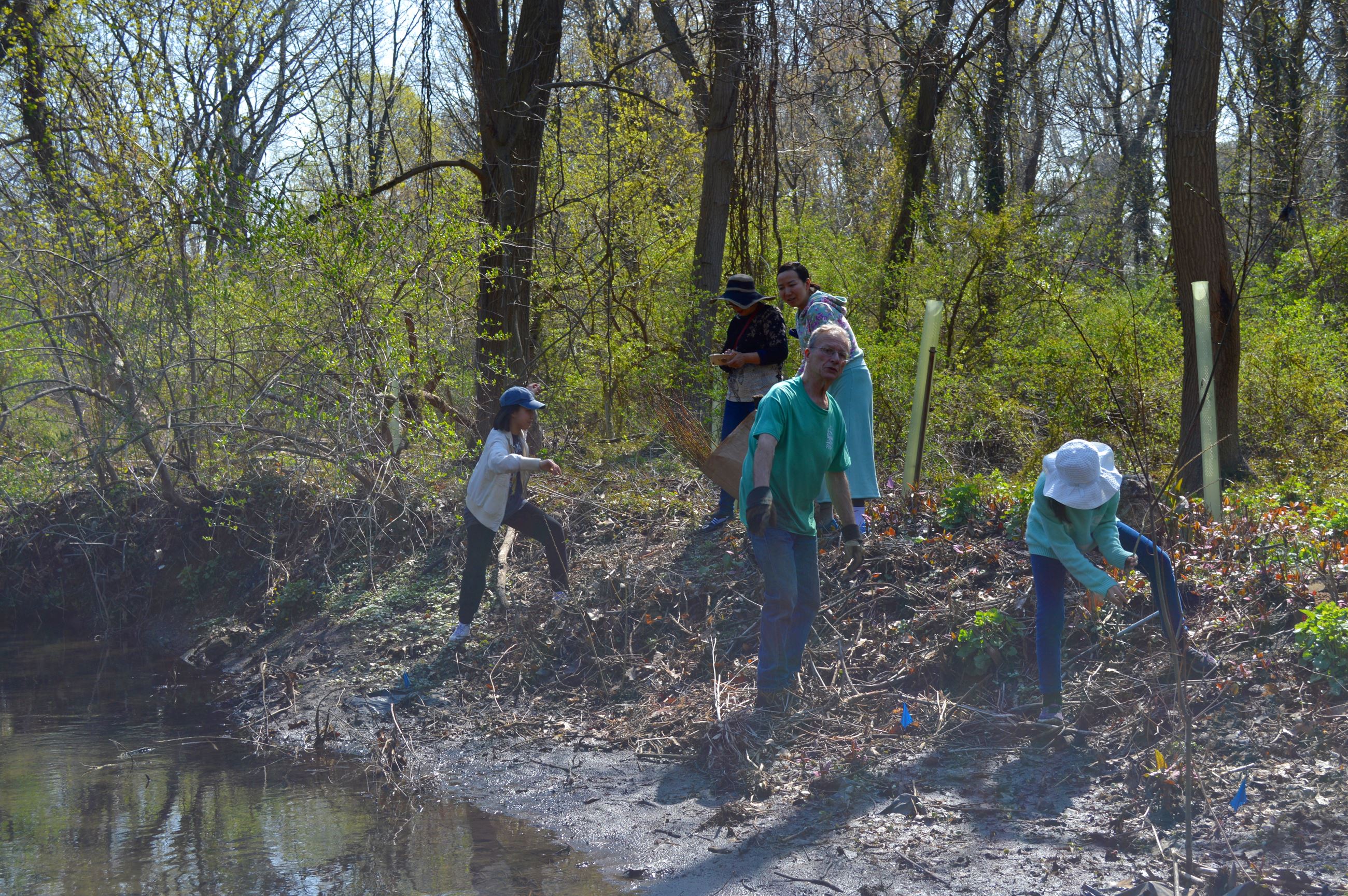 Community Planting Day 4 (jpg)