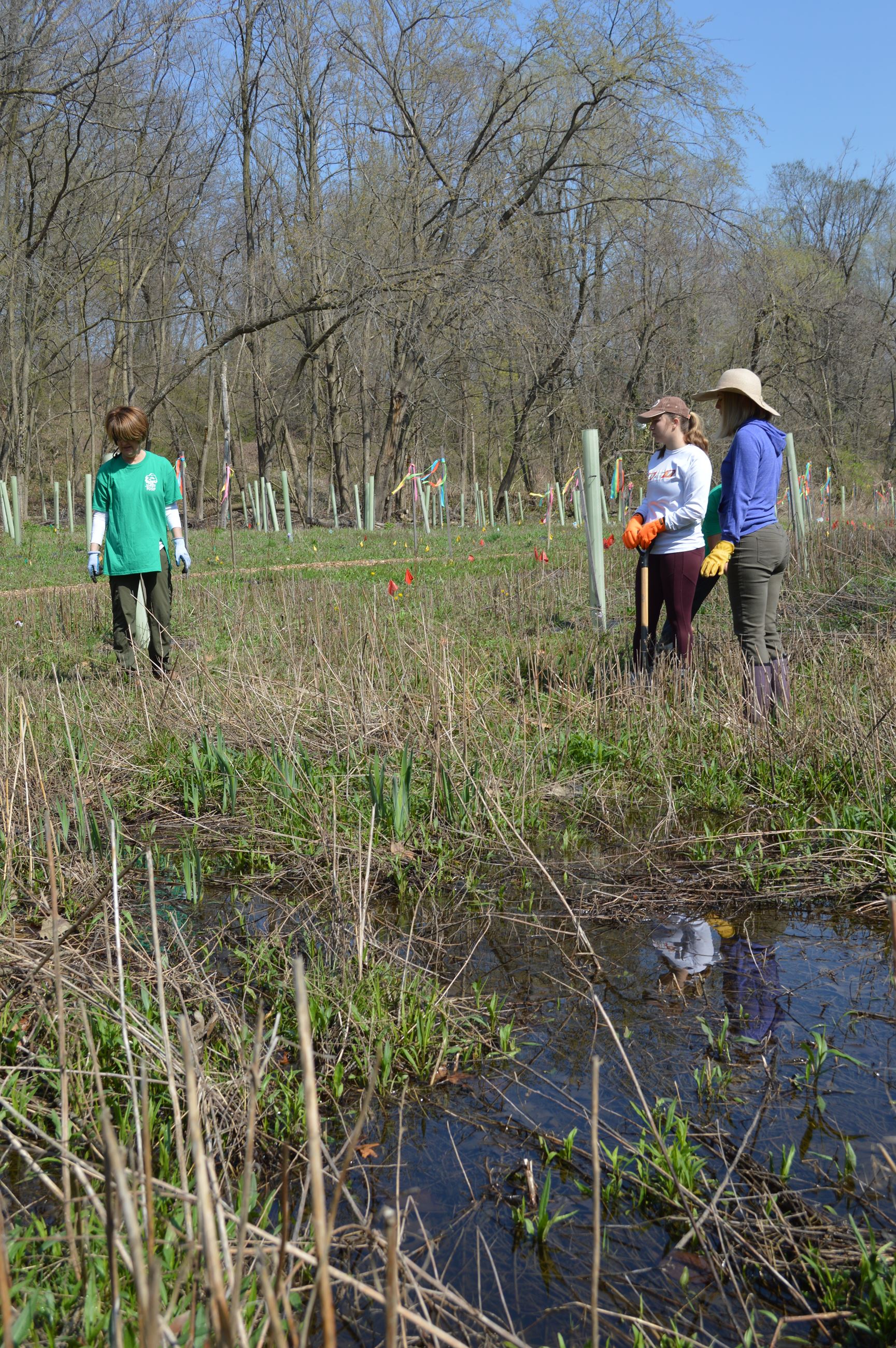 Community Planting Day 6 (jpg)