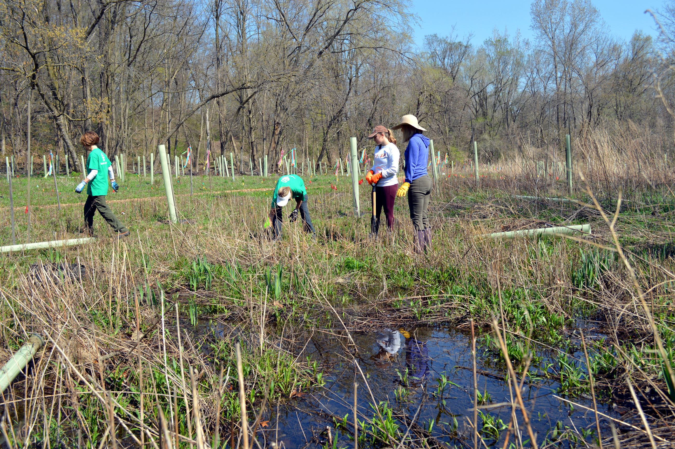 Community Planting Day 7 (jpg)