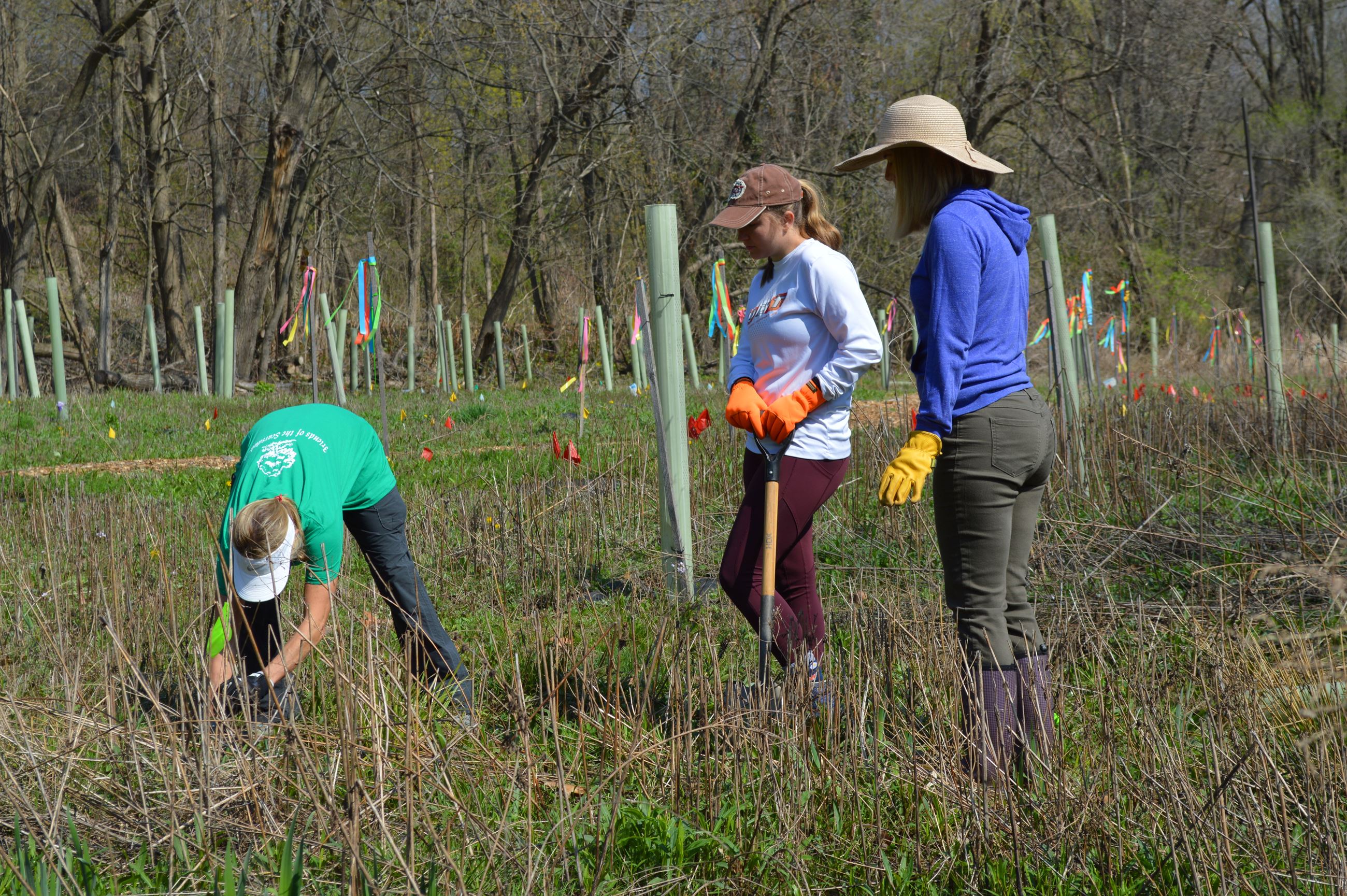 Community Planting Day 8 (jpg)