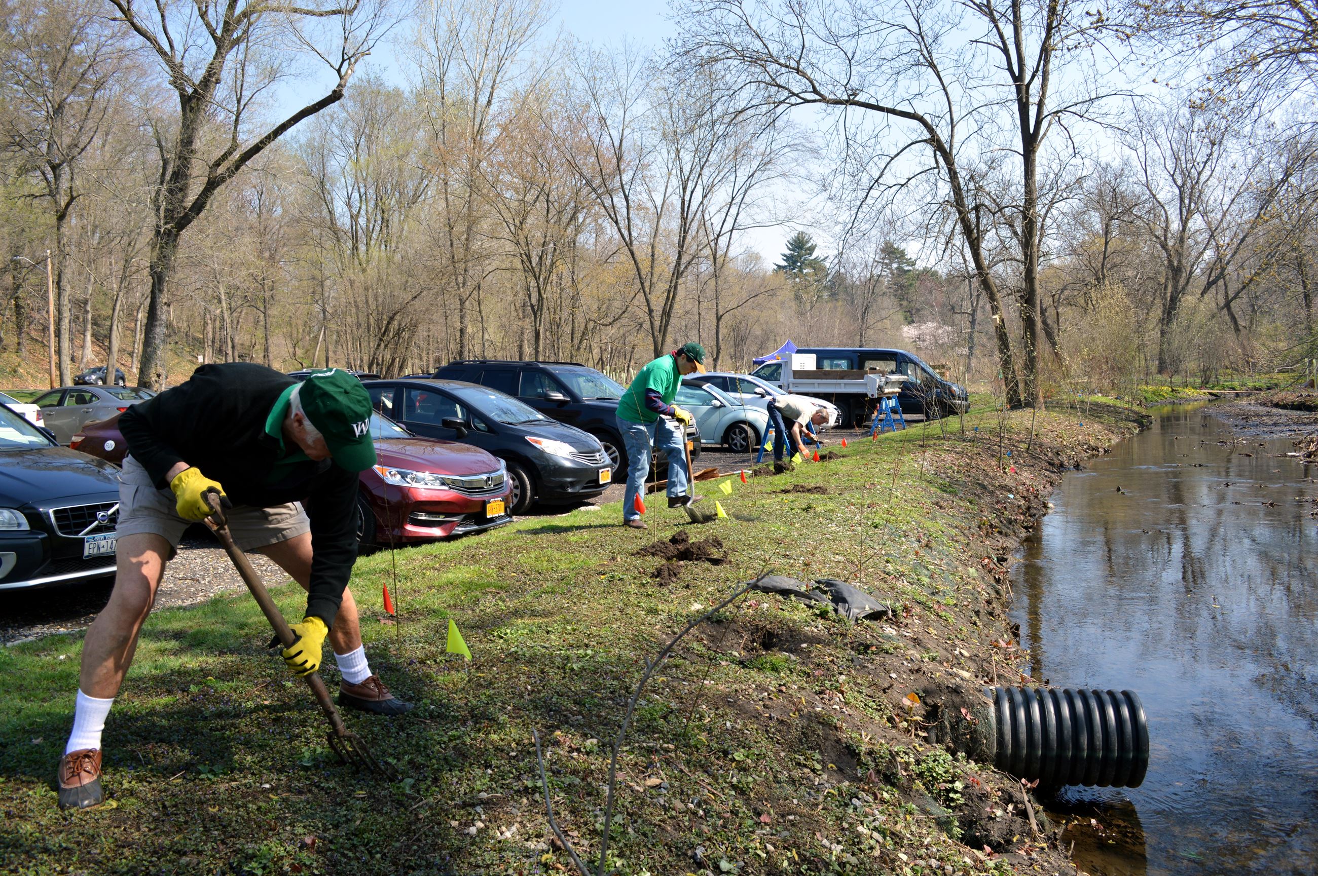 Community Planting Day 33 (jpg)
