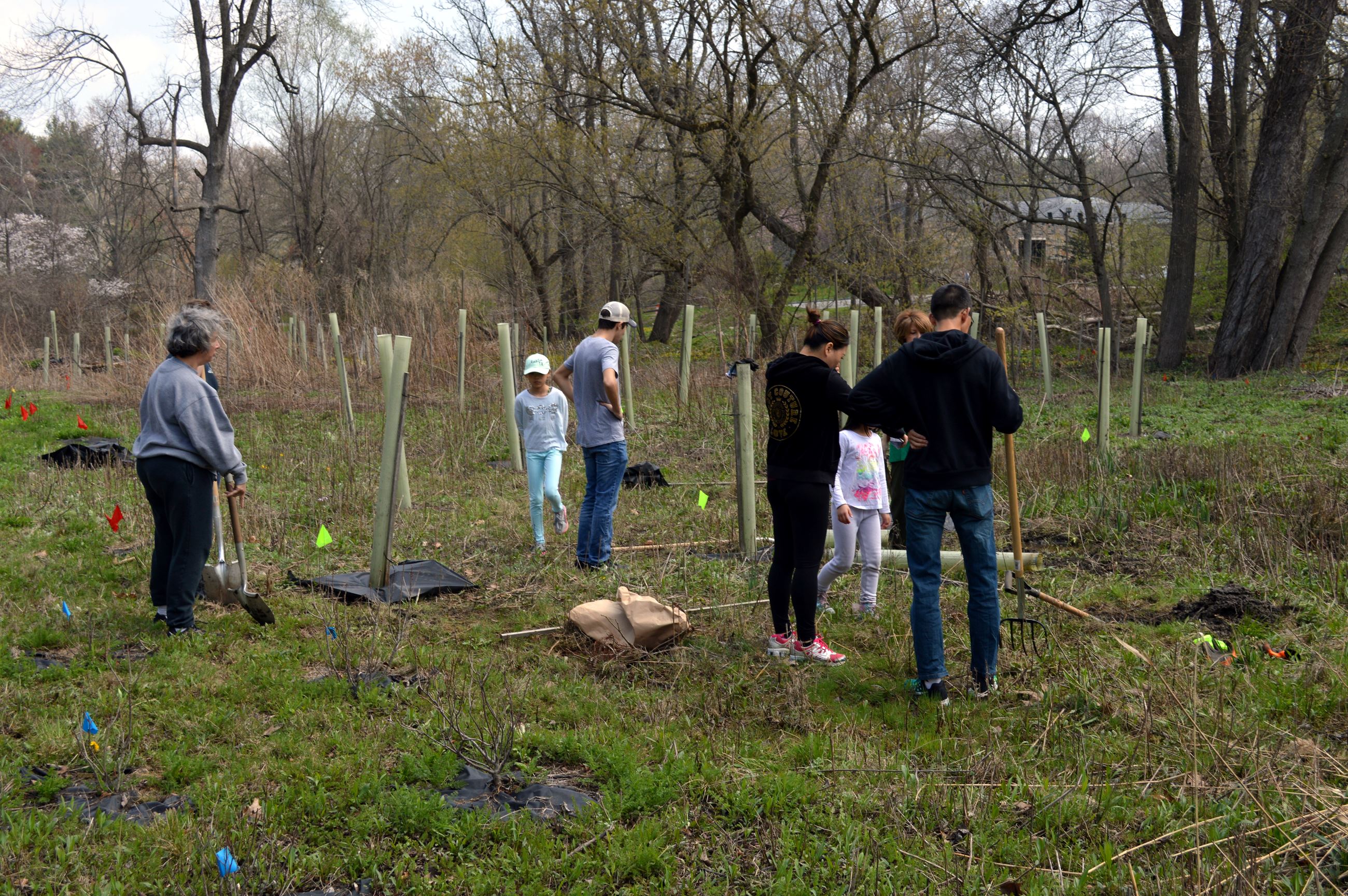 Community Planting Day 29 (jpg)