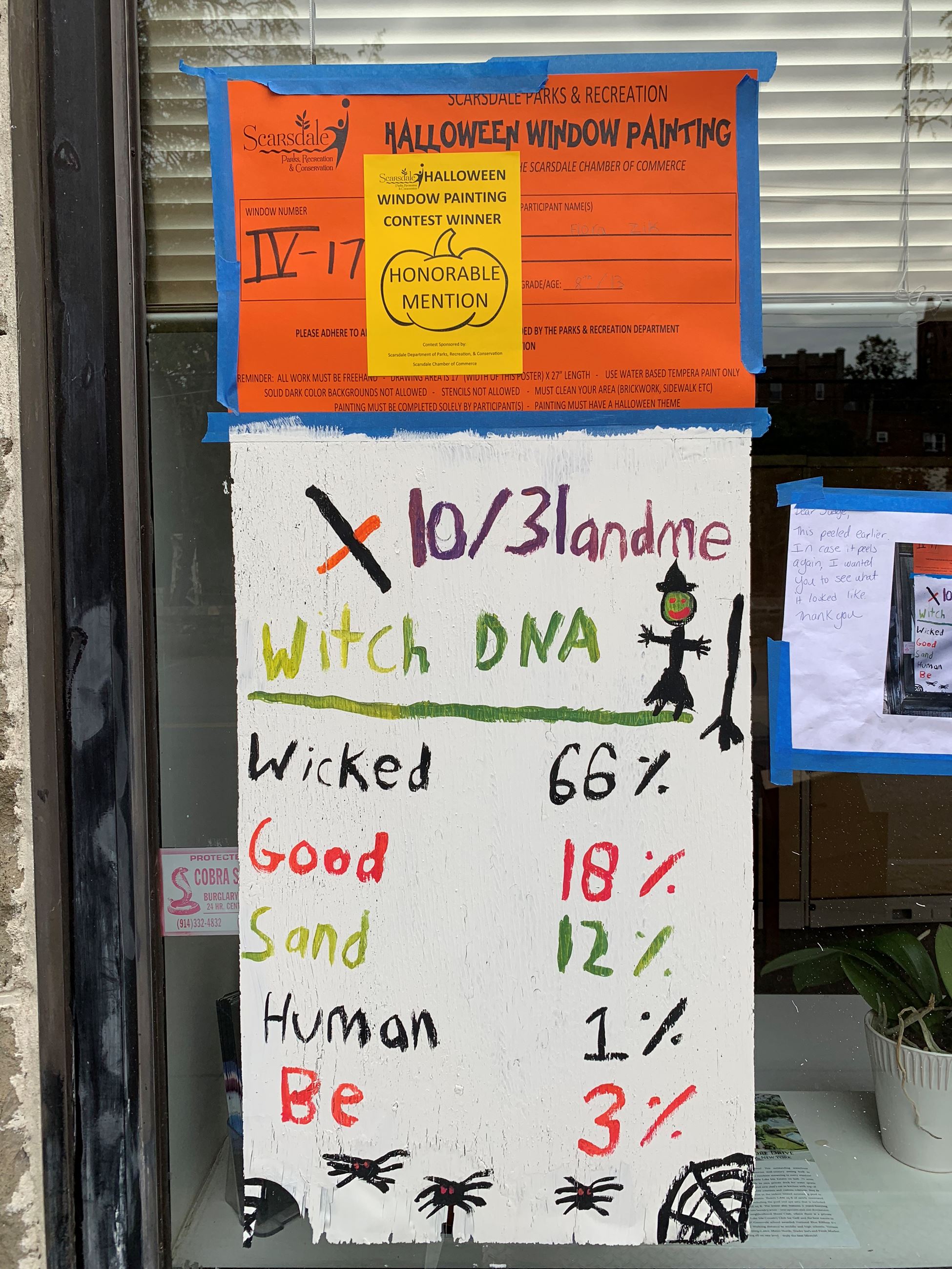 Halloween Window Painting 49 (jpg)