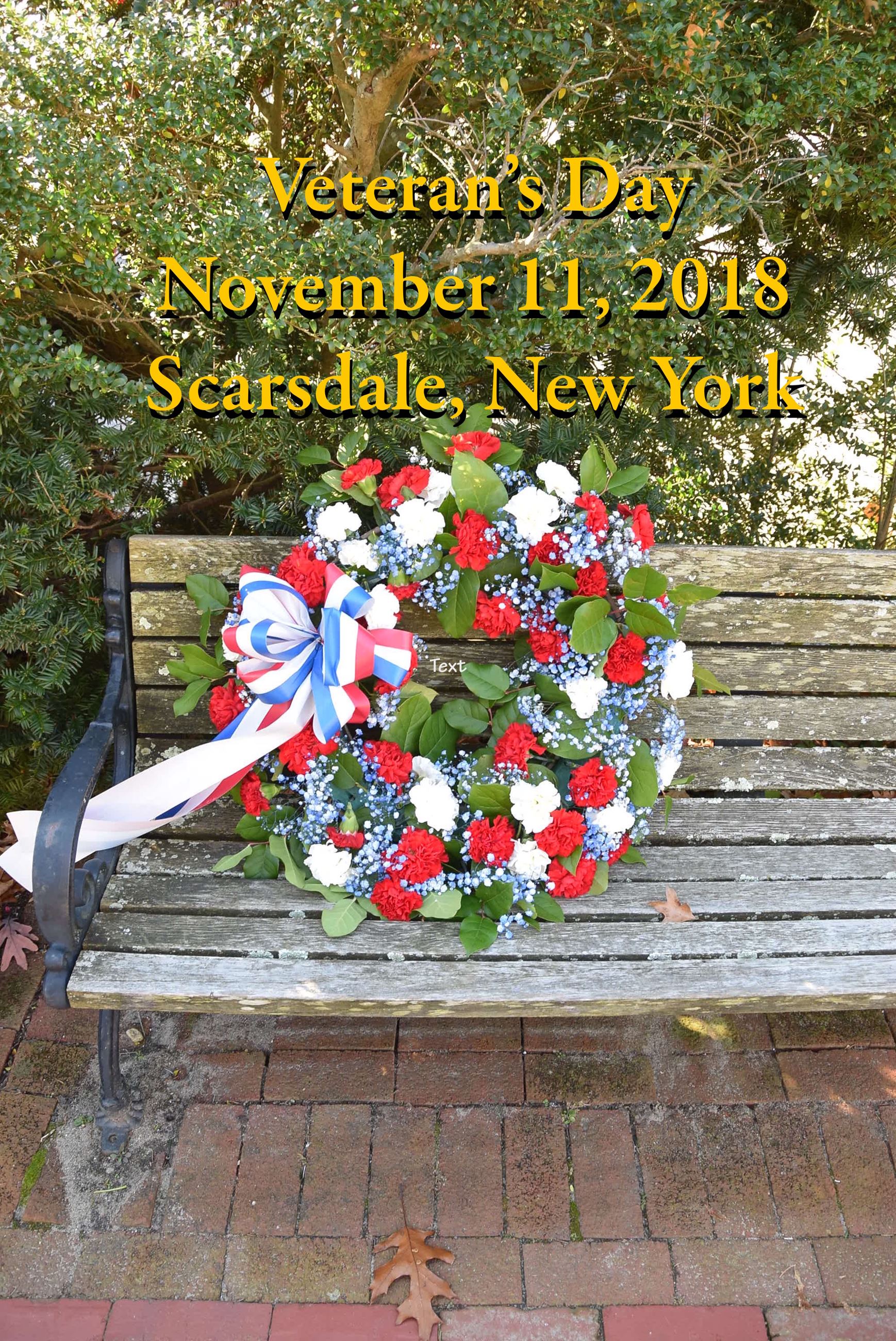 Veterans Day Image (jpg)