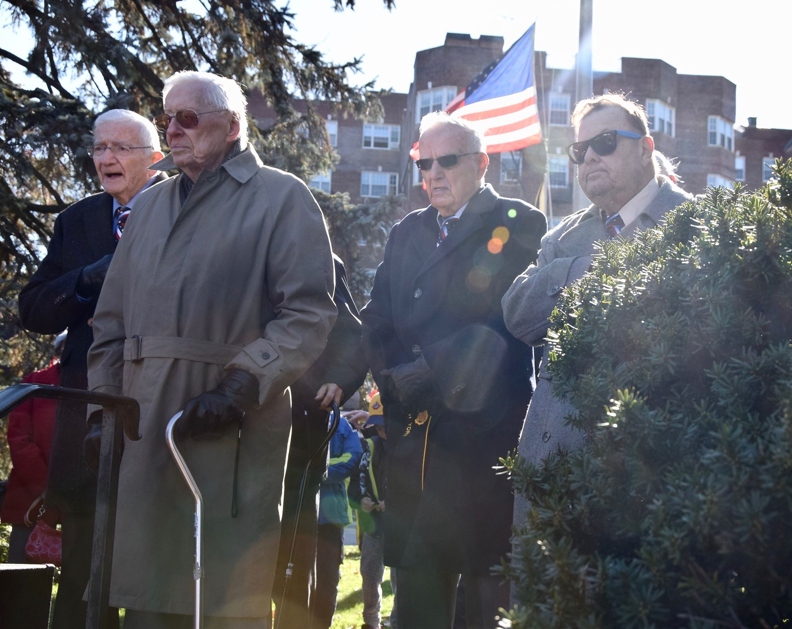 Veterans Day Image (jpg)