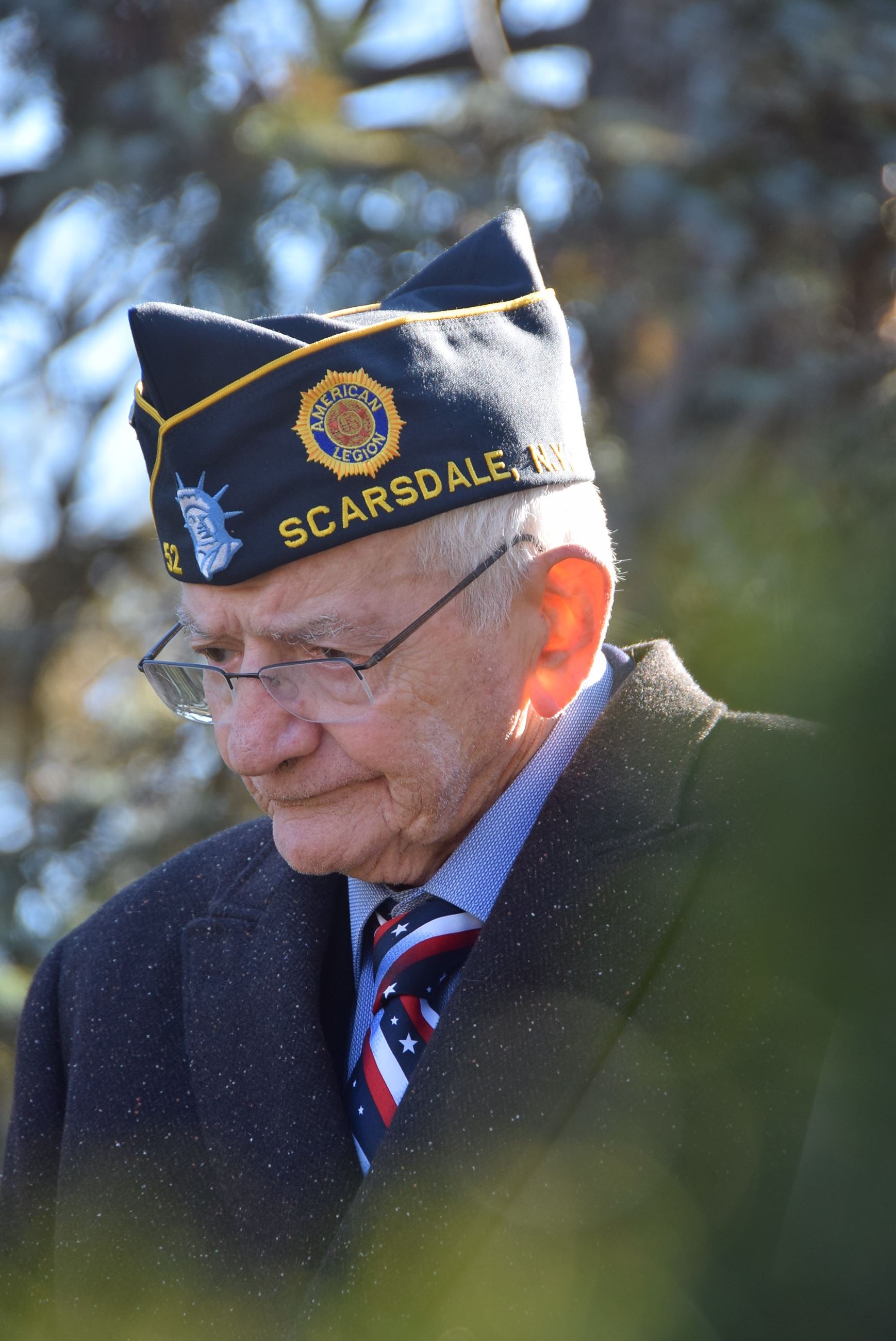 Veterans Day Image (jpg)