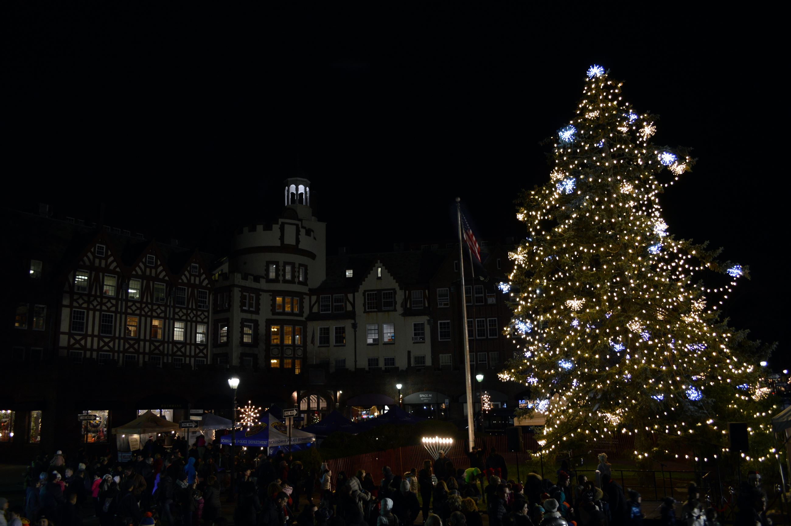 Light the Dale -Tree Menorah Flag - horiz (jpg)
