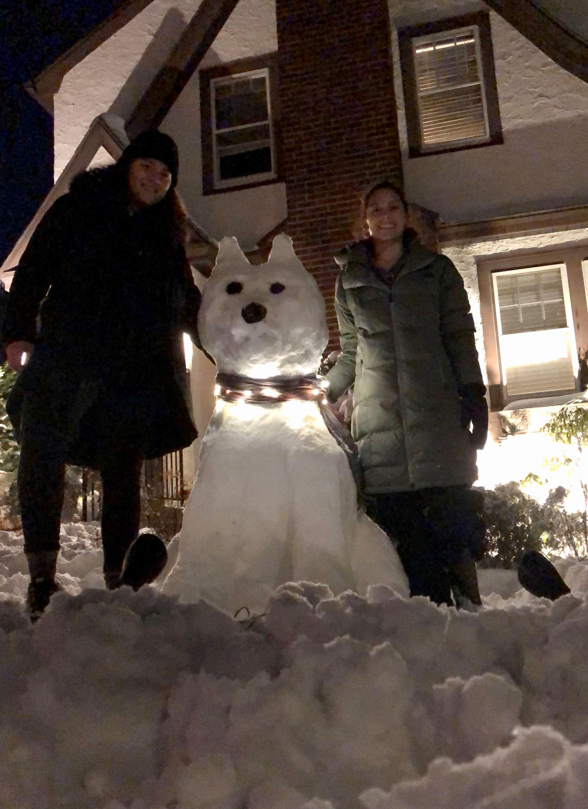 Snowdog